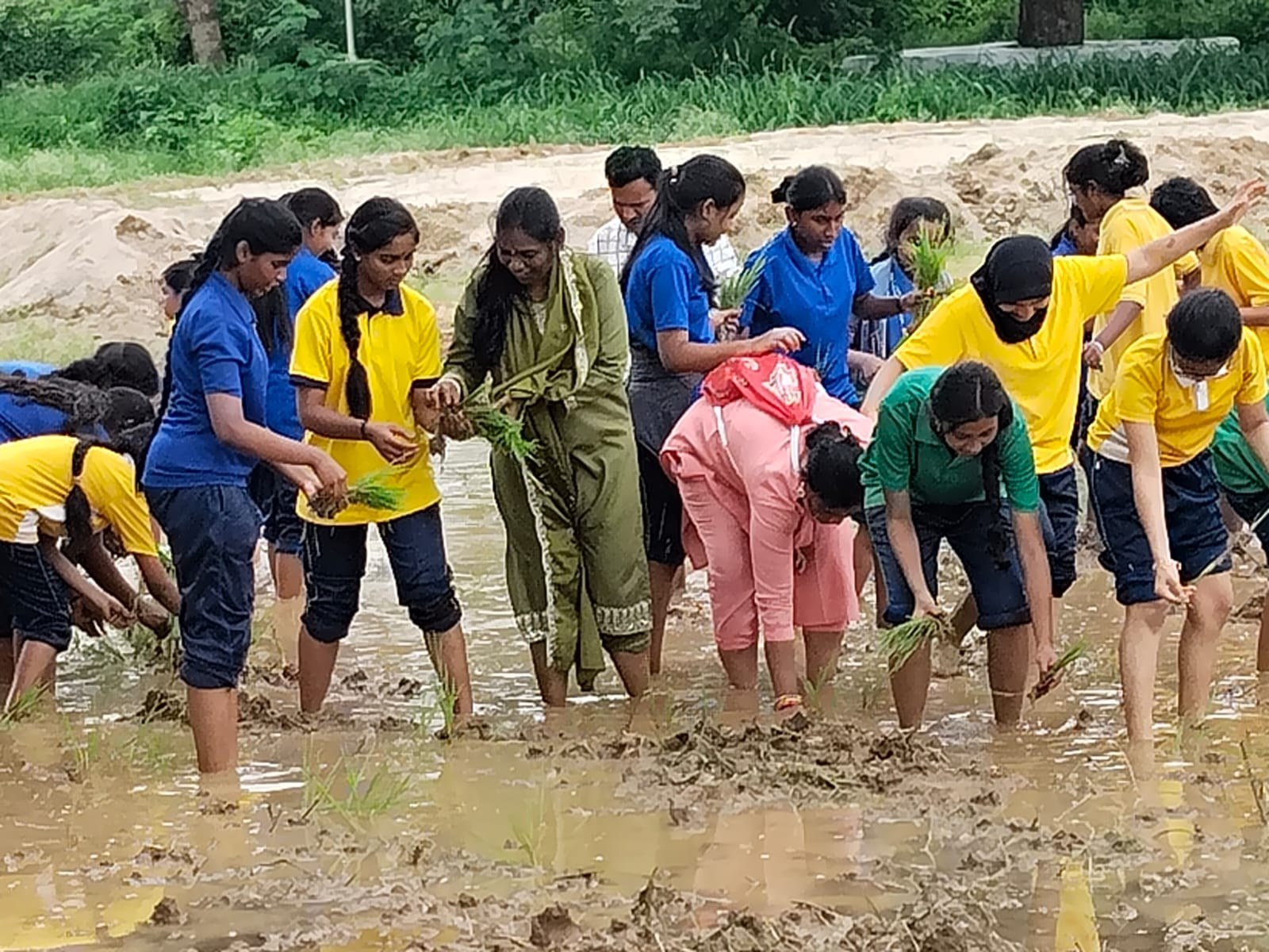 Students getting hands-on experience in the campus fields