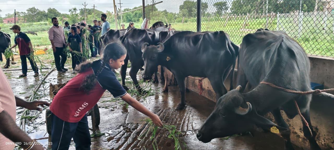 Livestock experience at the Centre for Agri Tourism